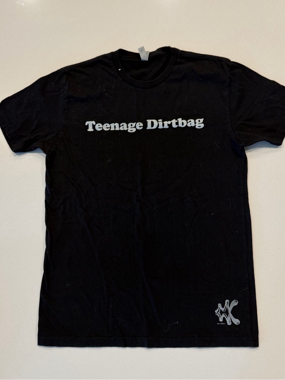 Teenage Dirtbag Wheatus concert tee